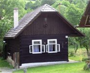 DREVENICA SÚĽOV
