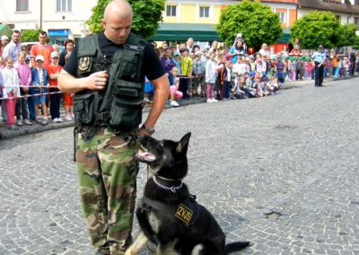 MDD 2011 - ukážka poslušnosti policajného psa