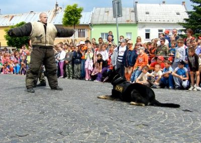 MDD 2011 - ukážka zásahu policajného psa 2