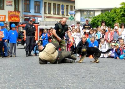 MDD 2011 - ukážka zásahu policajného psa