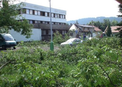 Zničená zeleň pri budove polície