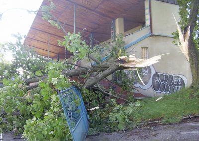 Spadnutý strom pri futbalovom štadióne