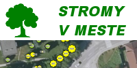 Stromy v meste